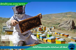 زنبورداران توانایی پرداخت حق بیمه خویش فرما را ندارند